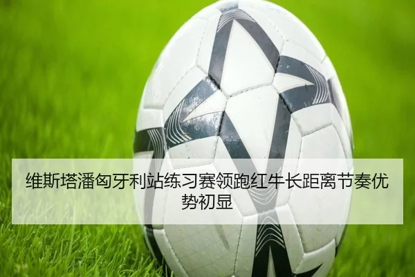 维斯塔潘匈牙利站练习赛领跑红牛长距离节奏优势初显 - QianyiSports