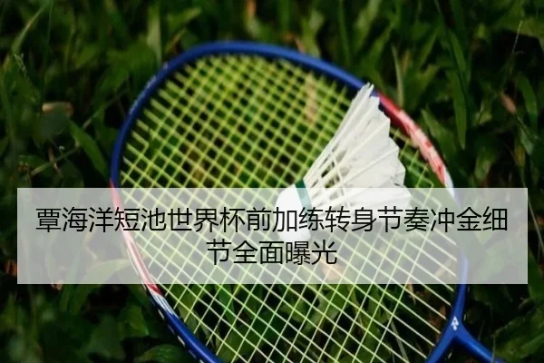 覃海洋短池世界杯前加练转身节奏冲金细节全面曝光 - QianyiSports